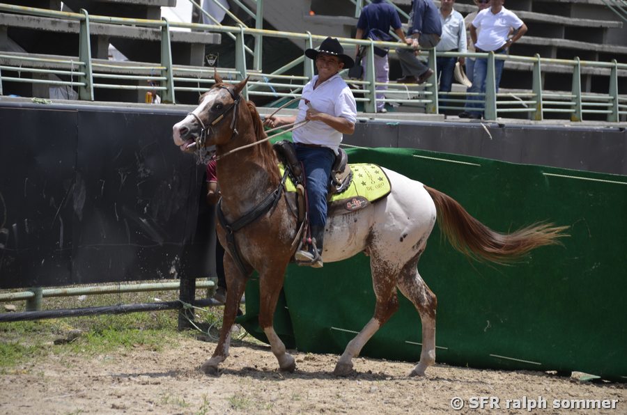 Cowboy