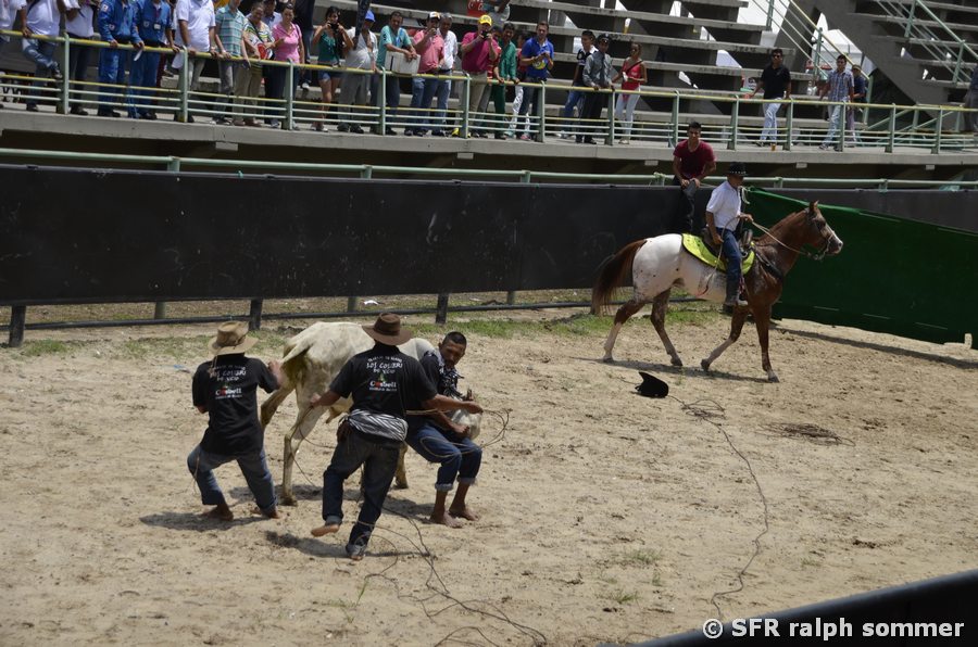 Cowboys