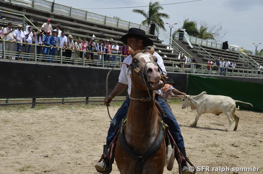 Cowboy mit Lasso