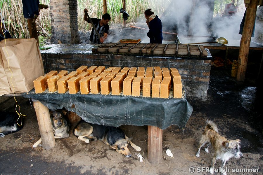 Rohrzucker Paneele San Agustín