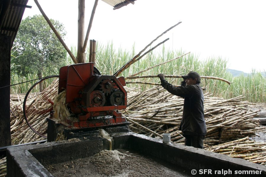 Zuckerrohrpresse