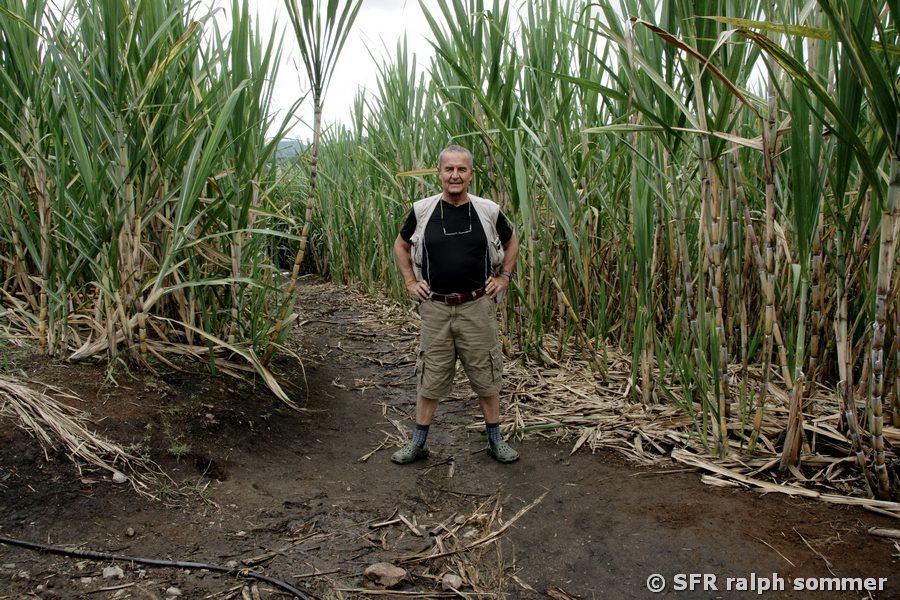 Ralph Sommer auf der Zuckerrohrplantage in San Agustín