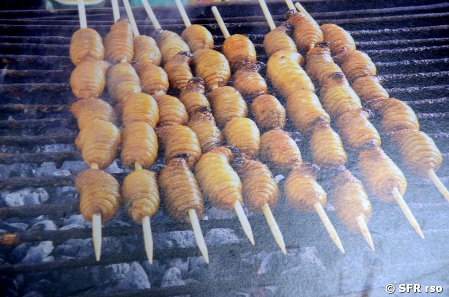 Palmwürmer am Spieß