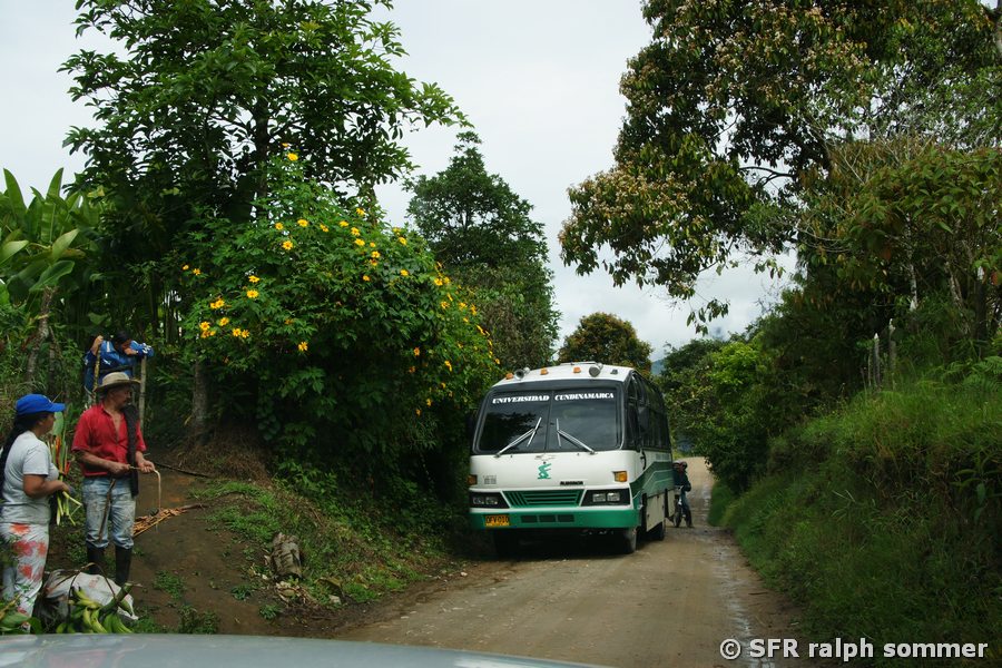 Bus