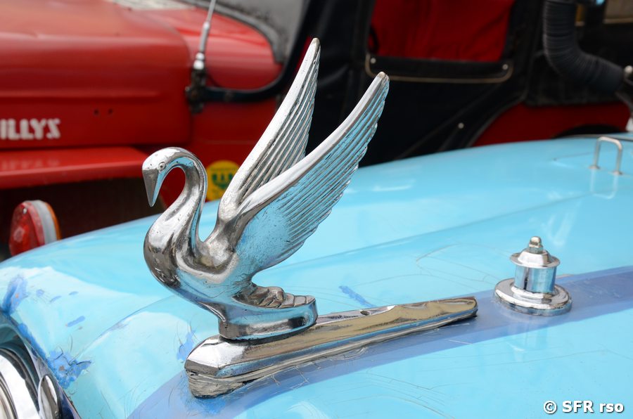 Schwandekoration auf Willy Jeep
