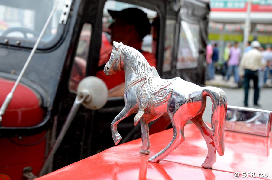 Pferddekoration auf Jeep