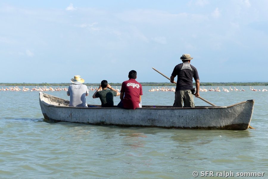 Kanuausflug im Flamingo Schutzgebiet bei Riohacha