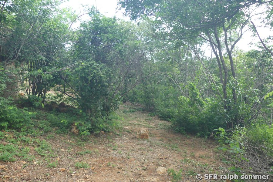 Wanderweg nach Guane