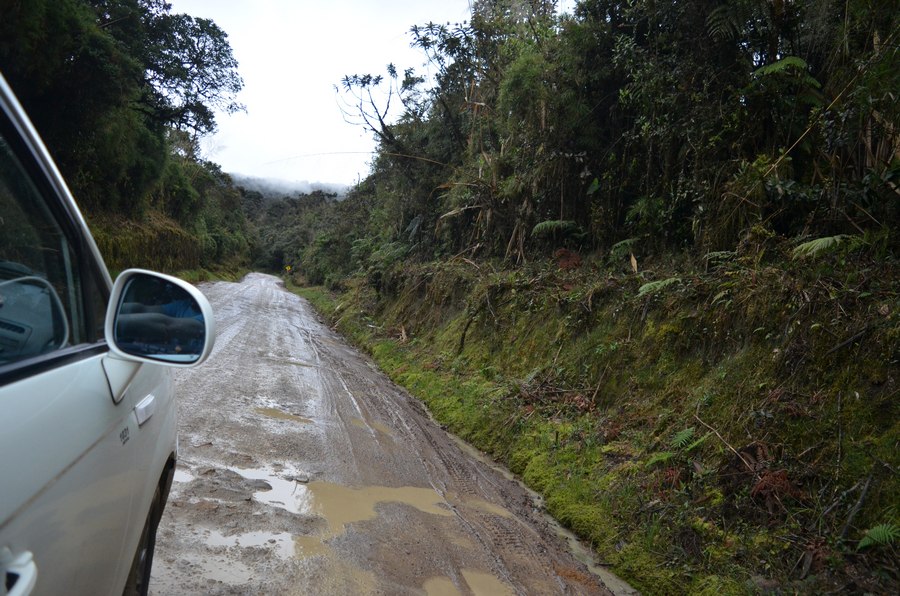 Erdstraße durch Puracé Park nach Popayán