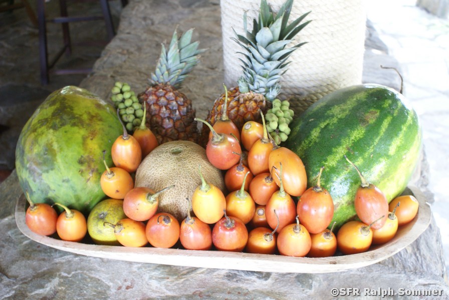 Fruchtschale in Ecohabs