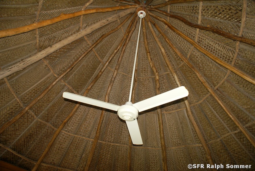 Ventilator