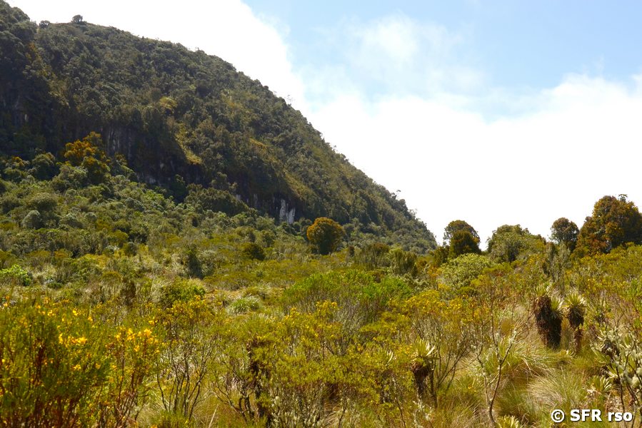 Paramo Landschaft