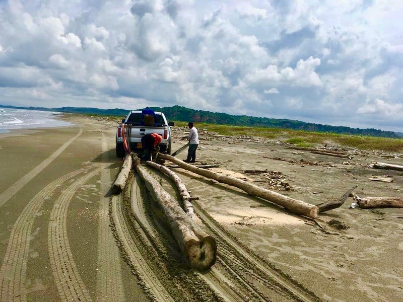 Stämme abschleppen am Strand von Galerazamba