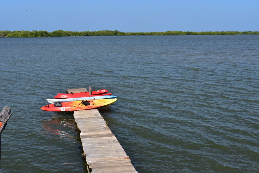 Kayaks