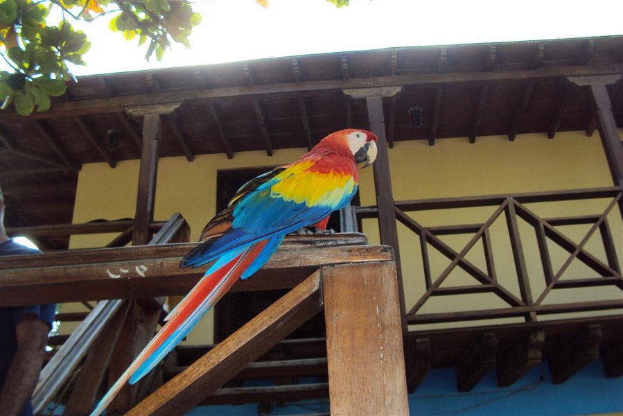 Araresort Gente de Mar auf Isla Grande